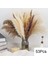 53 Kaynaklanıyor Yaklaşık 55 cm (Vazo Yok) 100 Adet/grup Pampas Seti Dekorasyon Kabarık Doğal Oturma Odası Dekorasyon Uzun Pampas Çim Kurutulmuş Çiçekler Buket Boho Ev Dekor (Yurt Dışından) 1