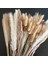 53 Kaynaklanıyor Yaklaşık 55 cm (Vazo Yok) 100 Adet/grup Pampas Seti Dekorasyon Kabarık Doğal Oturma Odası Dekorasyon Uzun Pampas Çim Kurutulmuş Çiçekler Buket Boho Ev Dekor (Yurt Dışından) 2