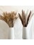 53 Kaynaklanıyor Yaklaşık 55 cm (Vazo Yok) 100 Adet/grup Pampas Seti Dekorasyon Kabarık Doğal Oturma Odası Dekorasyon Uzun Pampas Çim Kurutulmuş Çiçekler Buket Boho Ev Dekor (Yurt Dışından) 4