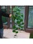 G 90 cm Yapay Asılı Sarmaşıklar Bitkiler Sahte Duvar Sarmaşıklar Kapalı Uzun Monstera Yapraklar Asılı Rattan Yeşil Sarmaşık Odası Bahçe Dekor Için (Yurt Dışından) 3