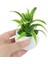 F07 1 Adet Mini Yapay Bitkiler Bonsai Sahte Çiçekler Aloe Masa Saksı Süsler Küçük Simüle Ağaç Pot Bitki Ev Dekorasyon El Sanatları (Yurt Dışından) 4