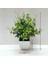 Stil 9 Mini Yapay Bitkiler Bonsai Küçük Simüle Aloe Ağacı Saksı Bitkileri Sahte Çiçekler Ofis Masası Saksı Süsler Ev Bahçe Dekor (Yurt Dışından) 1