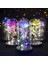 Doll-1 Kadınlar Için Hediyeler Güzel ve Çirkin Korunmuş Güller Cam Galaxy Gül LED Işık Yapay Çiçek Kızlar Için Doğum Günü Hediyesi (Yurt Dışından) 2