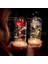 Doll-1 Kadınlar Için Hediyeler Güzel ve Çirkin Korunmuş Güller Cam Galaxy Gül LED Işık Yapay Çiçek Kızlar Için Doğum Günü Hediyesi (Yurt Dışından) 5