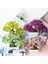 Mavi Yapay Plastik Bitkiler Bonsai Küçük Ağaç Saksı Sahte Bitki Saksı Çiçek Ev Odası Masa Dekorasyon Bahçe Düzenleme Süsler (Yurt Dışından) 5