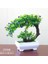 G2 Yapay Bitki Yapay Çiçek Ev Dekor Bonsai Ağacı Pot Bitki Ev Odası Bahçe Dekorasyon Için Sahte Çiçek Saksı Süs (Yurt Dışından) 1