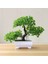 G2 Yapay Bitki Yapay Çiçek Ev Dekor Bonsai Ağacı Pot Bitki Ev Odası Bahçe Dekorasyon Için Sahte Çiçek Saksı Süs (Yurt Dışından) 2
