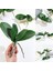32 Cm-4 Yapraklar Phalaenopsis Yaprağı Yapay Bitki Yaprağı Dekoratif Çiçekler Ev Dekor Orkide Yaprakları (Yurt Dışından) 5