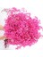 Çok Renkli 30G Doğal Taze Kurutulmuş Korunmuş Çiçekler Gypsophila Ebedi Nefes Buketleri Sevgililer Günü Hediyesi Düğün Boho Ev Dekor Paniculata (Yurt Dışından) 3