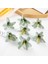 Açık Yeşil 10 Parça 50PC 8cm Scrapbooking Için Yapay Çiçekler Ipek Zambak Dıy Hediyeler Şeker Kutusu Düğün Bahçe Gül Kemer Ev Dekor Noel Çelenk (Yurt Dışından) 1