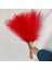Kırmızı 5pcs 1/5/10/20PCS 55CM Mini Sahte Pampas Çim Yapay Görkemli Çim Vazo Dolgu Çiçek Ev Oturma Odası Mutfak Düğün Boho Dekor (Yurt Dışından) 1