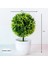 Açık Yeşil Saksı ile Greenplants Yeni Yeşil Yapay Bitkiler Bonsai Küçük Ağaç Çim Çiçek Saksı Bonsai Cadılar Bayramı Düğün Noel Partisi Ev Ofis Dekoru (Yurt Dışından) 5