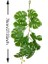 Küçük Boyut 120 cm Tropikal Palmiye Yaprakları Yapay Plastik Bitkiler Çelenk Duvar Asılı Büyük Monstera Ev Bahçe Oturma Odası Tavan Dekor Için (Yurt Dışından) 1