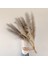 Beyaz 2 3 Adet 80-120 cm Pampas Çim Büyük Uzun Boylu Kabarık Pampas Kurutulmuş Çiçekler Boho Dekor Bitki Vazo Için Ev Düğün Dekor Çiçek Aranjmanı (Yurt Dışından) 4