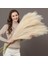 Koyu Mor 120 cm 1 Adet 90/120 cm Yapay Pampas Çim Buket Tatil Ev Bahçe Düğün Dekorasyon Sahte Çiçekler Kamış Simülasyon Dıy Vazo Dekor (Yurt Dışından) 2