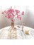 10G Vazo Yok 10-15CM 10G,10-15CM Mini Doğal Gypsophila Kurutulmuş Çiçekler Pampas Çim Kuru Çiçekler Ev Dekoratif Fotoğraf Fotoğraf Arka Fonu Dekor (Yurt Dışından) 1