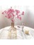 10G Vazo Yok 10-15CM 10G,10-15CM Mini Doğal Gypsophila Kurutulmuş Çiçekler Pampas Çim Kuru Çiçekler Ev Dekoratif Fotoğraf Fotoğraf Arka Fonu Dekor (Yurt Dışından) 2