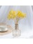 10G Vazo Yok 10-15CM 10G,10-15CM Mini Doğal Gypsophila Kurutulmuş Çiçekler Pampas Çim Kuru Çiçekler Ev Dekoratif Fotoğraf Fotoğraf Arka Fonu Dekor (Yurt Dışından) 4