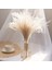 10G Vazo Yok 10-15CM 10G,10-15CM Mini Doğal Gypsophila Kurutulmuş Çiçekler Pampas Çim Kuru Çiçekler Ev Dekoratif Fotoğraf Fotoğraf Arka Fonu Dekor (Yurt Dışından) 5