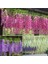 Kırmızı 12 Adet Wisteria Yapay Çiçek Asılı Çelenk Rattan Yapay Çiçek Dize Kemer Düğün Ev Dekorasyon Bahçe Dekorasyon (Yurt Dışından) 2