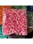 Pembe 200 50/100/200/500 Adet 3 cm Köpük Gül Ayı Yapay Çiçekler Diy Hediyeler Kutusu Düğün Dekoratif Noel Ev Dekor 20 Renk (Yurt Dışından) 1
