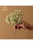 Beyaz Wqnjın Yapay Gypsophila Nefes Düğün Küçük Taze Yapay Çiçekler Sahte Çiçekler Çiçek Aranjmanı Ev Dekorasyon (Yurt Dışından) 3