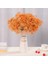 Turuncu 180G Hiçbir Vazo Kurutulmuş Bebek Nefes Çiçek Buketleri Renkli Beyaz Gypsophile Doğal Kuru Çiçek Gypsophila Düğün Dekorasyon Iskandinav Ev Dekor (Yurt Dışından) 1