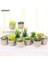 Stil 8 Plastik Yapay Etli Bitkiler Sahte Dekoratif Top Bitkiler Simülasyon Mini Mini Yapay Bonsai Ev Dekor Için (Yurt Dışından) 2