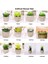 Stil 8 Plastik Yapay Etli Bitkiler Sahte Dekoratif Top Bitkiler Simülasyon Mini Mini Yapay Bonsai Ev Dekor Için (Yurt Dışından) 3