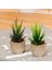 Stil 8 Plastik Yapay Etli Bitkiler Sahte Dekoratif Top Bitkiler Simülasyon Mini Mini Yapay Bonsai Ev Dekor Için (Yurt Dışından) 4