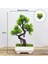 Style3-E Yeni Yapay Bitkiler Çam Bonsai Küçük Ağaç Saksı Bitkileri Ev Dekorasyon Otel Bahçe Dekor Için Sahte Çiçekler Saksı Süsler (Yurt Dışından) 1