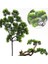 C Yapay Bitkiler Küçük Ağaç Yaprağı Karşılama Çam Iğnesi Sahte Yapraklar Şube Bonsai Süsler Ev Otel Bahçe Dekor (Yurt Dışından) 3