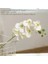 Beyaz Orkide 52 cm Büyük 3D 11/7 Kafaları Pvc Yapay Çiçek Orkide Phalaenopsis Saksı Bitkileri Peyzaj Düğün Çiçek Aranjmanı Ev Dekor (Yurt Dışından) 1
