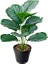 43CM Hiçbir Pot A Potsuz 43CM 12 Kafa Tropikal Monstera Yapay Bitki Şube Sahte Kaplumbağa Yaprağı Potsuz Plastik Palmiye Ağacı Ev Bahçe Duvar Dekoru Için (Yurt Dışından) 1
