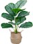43CM Hiçbir Pot A Potsuz 43CM 12 Kafa Tropikal Monstera Yapay Bitki Şube Sahte Kaplumbağa Yaprağı Potsuz Plastik Palmiye Ağacı Ev Bahçe Duvar Dekoru Için (Yurt Dışından) 2