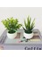 6X14 cm Mini Yapay Aloe Bitkiler Bonsai Küçük Simüle Ağaç Saksı Bitkileri Sahte Çiçekler Ofis Masası Saksı Süsler Ev Bahçe Dekor (Yurt Dışından) 2