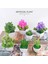 6X14 cm Mini Yapay Aloe Bitkiler Bonsai Küçük Simüle Ağaç Saksı Bitkileri Sahte Çiçekler Ofis Masası Saksı Süsler Ev Bahçe Dekor (Yurt Dışından) 3