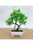 Song Guo Pot ile Greenplants Yeni Yeşil Yapay Bitkiler Bonsai Küçük Ağaç Çim Çiçek Saksı Bonsai Cadılar Bayramı Düğün Noel Partisi Ev Ofis Dekoru (Yurt Dışından) 1
