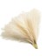 Turuncu 55CM 10PCS 5/10/20PCS 55CM Yapay Pampas Çim Sahte Görkemli Çim Vazo Dolgu Çiçek Ev, Oturma Odası, Mutfak, Parti, Boho Dekor Için (Yurt Dışından) 3