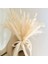 FGPG50PCS 50-200 Adet Krem Pampas Çim Kabarık Oda Phragmites Dekorasyon Doğal Tavşan Kuyruğu Çim Kurutulmuş Çiçekler Buket Boho Ev Dekor (Yurt Dışından) 4