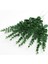 Koyu Yeşil 38 cm 6 Adet 6/12/24 Adet Okaliptüs Kaynaklanıyor Yapay Bitkiler Okaliptüs Bitkiler Noel Ev Dekor Için Sahte Çiçekler Bahçe Çelenkler Dekorasyon (Yurt Dışından) 1