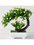 Dikdörtgen Havza Yapay Plastik Bonsai Sahte Bitkiler Çiçek Düğün Ev Dekor Bahçe Otel Saksı Yapay Sahte Plastik Bonsai Bitki Ağacı (Yurt Dışından) 2