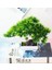 Hehua Yeşil Yapay Bitkiler Saksı Bonsai Yeşil Küçük Ağaç Bitkiler Ev Bahçe Dekor Için Sahte Çiçekler Saksı Süsler Parti Otel Dekor (Yurt Dışından) 3