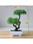 Jixiangshu Yeşil Yapay Bitkiler Saksı Bonsai Yeşil Küçük Ağaç Bitkiler Ev Bahçe Dekor Için Sahte Çiçekler Saksı Süsler Parti Otel Dekor (Yurt Dışından) 2