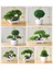 Jixiangshu Yeşil Yapay Bitkiler Saksı Bonsai Yeşil Küçük Ağaç Bitkiler Ev Bahçe Dekor Için Sahte Çiçekler Saksı Süsler Parti Otel Dekor (Yurt Dışından) 3