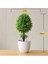 Jixiangshu Yeşil Yapay Bitkiler Saksı Bonsai Yeşil Küçük Ağaç Bitkiler Ev Bahçe Dekor Için Sahte Çiçekler Saksı Süsler Parti Otel Dekor (Yurt Dışından) 5