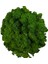 Limon Sarısı 20G Yapay Yosun Saksı Bitkileri Için Sahte Doğal Yeşil Ren Geyiği Yosun Zanaat Sanatları Için Çiçek Duvar Dekor Düğün Bahçe Dekorasyon (Yurt Dışından) 2