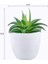 1 Adet Mini Yapay Aloe Bitkiler Bonsai Küçük Simüle Ağaç Saksı Bitkileri Sahte Çiçekler Ofis Masası Saksı Süsler Ev Bahçe Dekor (Yurt Dışından) 2