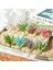 Zr Mavi Lingjiaocao Yapay Çok Stil Akın Etli Bitkiler Dıy Ev Bahçe Ofis Düğün Dekorasyon Parti Mini Bonsai Plante Artificielle (Yurt Dışından) 4