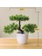Changchunshu Menekşe Yeni 1 Adet Büyüleyici Yapay Bitki Bonsai Simülasyon Küçük Ağaç Pot Bitki Saksı Parti Düğün Dekor Dıy Ev Gereçleri Sahte Bitki (Yurt Dışından) 2